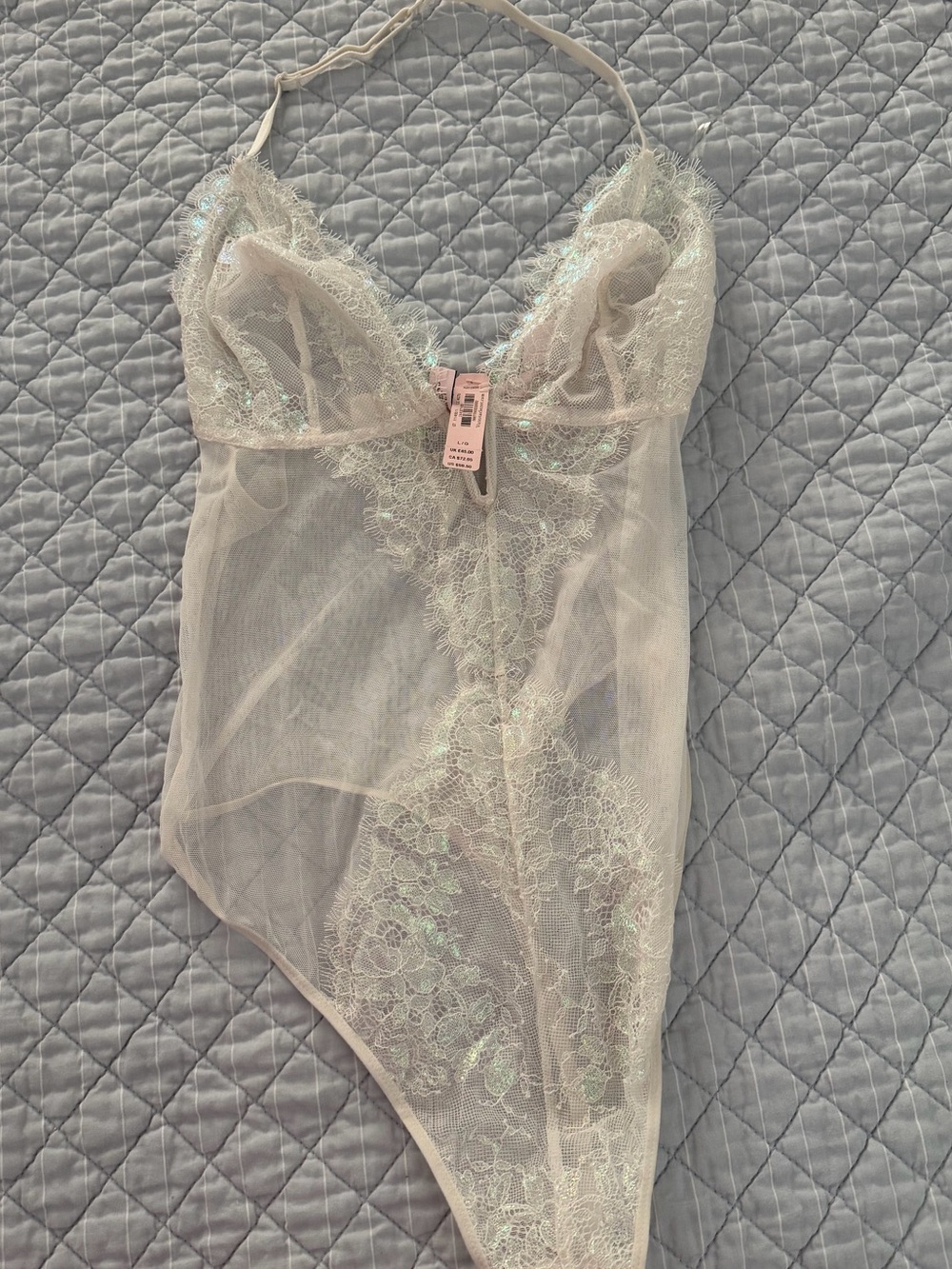 Victoria’s Secret Sheer Lace Bodysuit in Pale Pink - Women's Intimatesw